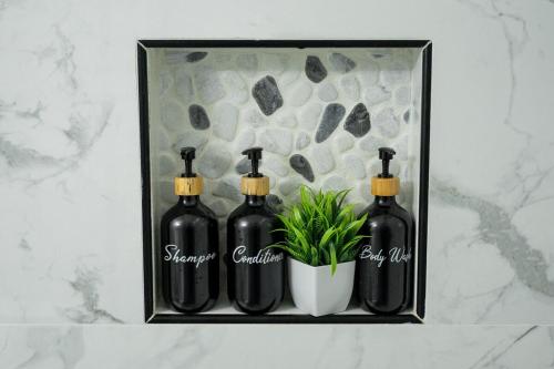 a shelf with four black bottles and a potted plant at La Vecchia Village Spacious Private Pool Area in Guayama