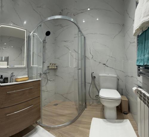 a bathroom with a shower and a toilet at MK Luxury Serviced Apartments #3 in Chişinău