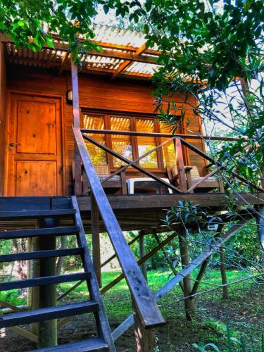 a ladder leading up to a tree house at Cabaña - Shaby in Tigre