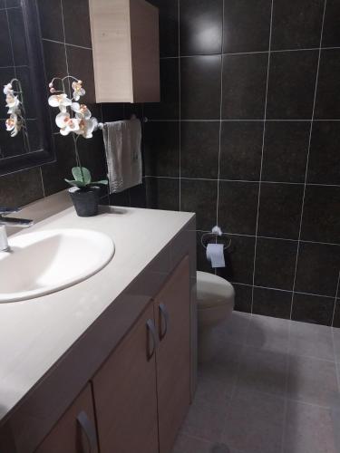 a bathroom with a sink and a toilet in it at Bahía Fragata 204 in San Andrés
