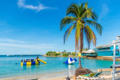 a beach with a palm tree and boats in the water at Discover Paradise in Discovery Bay
