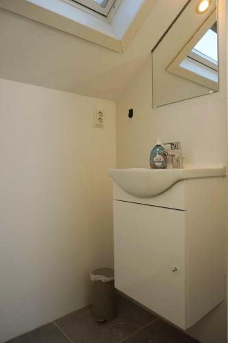 a bathroom with a white sink and a skylight at Keizerskroon 237 in Julianadorp