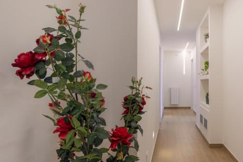 Valenza Exclusive Suites & Rooms photo 82