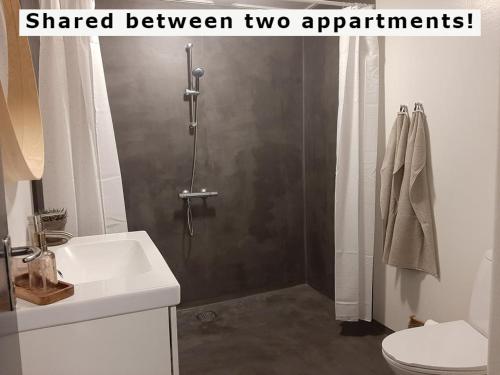 a bathroom with a shower and a sink and a toilet at Mini-lejlighed med køkken - deler bad og toilet med nabolejlighed 2 in Asperup