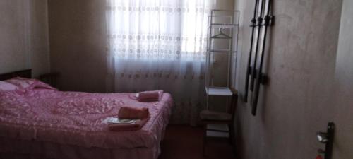 a small bedroom with a pink bed and a window at Shushan GUEST HOUSE in Yeghegnadzor