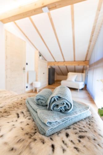 Chalet Plan Glacier tesisinde bir banyo