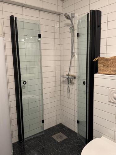 a bathroom with a glass shower with a toilet at Close to nature in Tromsø
