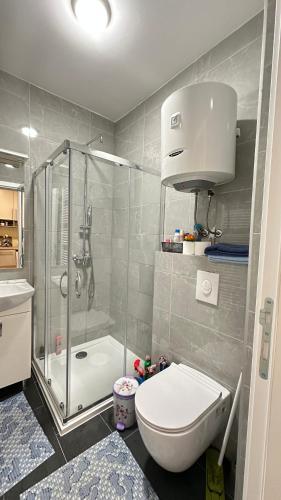 a bathroom with a shower and a toilet and a sink at Apartman Sunce Bjelasnica in Bjelašnica