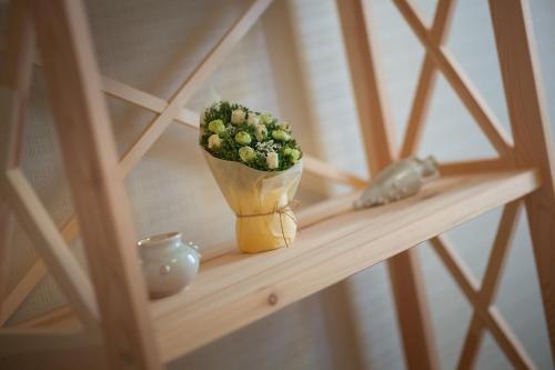 a plant in a vase sitting on a shelf at Fazenda in Sumy