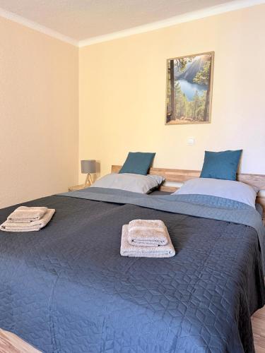 Postel nebo postele na pokoji v ubytování Das kleine Vulkanhaus