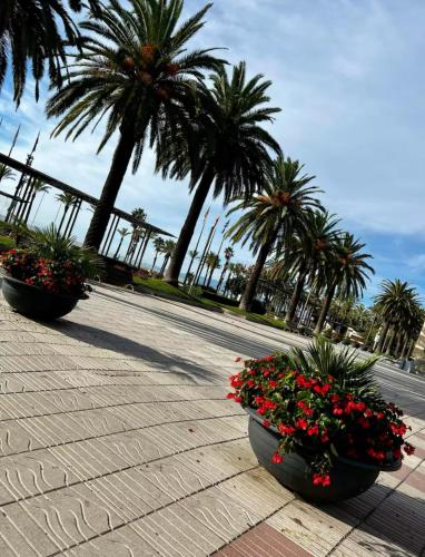 Apartman Leoni 1 linea