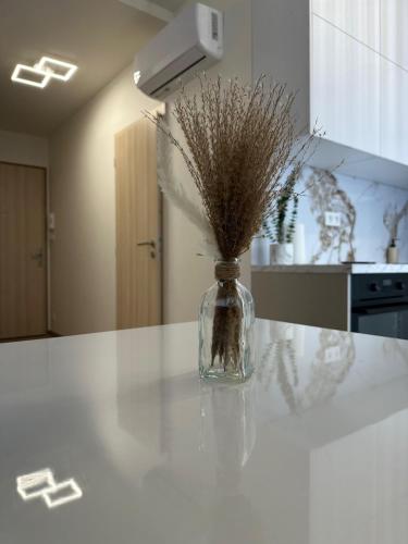 Kuchyň nebo kuchyňský kout v ubytování Apartman Nitra