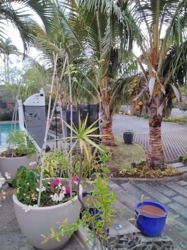 Zahrada ubytování Villa la Canne Mapou N08 1 chambre