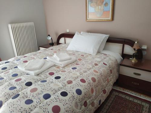 Vasiliki Apartment Trikala