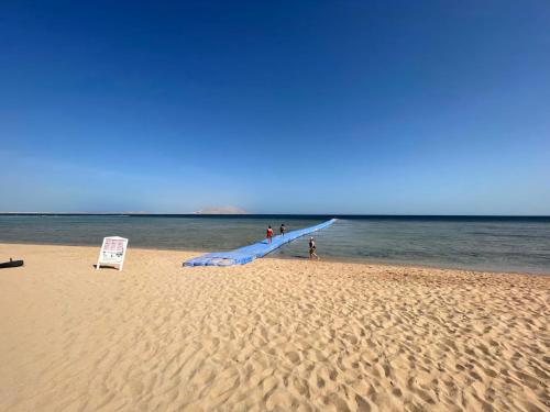 a group of people standing on a beach with a kite at Sharm hills sea view in Sharm El Sheikh