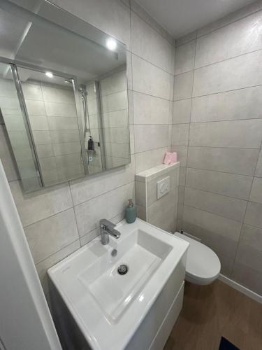 ブラエスハイムにあるNewly renovated 2 bedroom apartmentの洗面台とトイレを備えた白いバスルーム