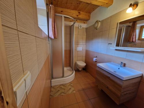 Koupelna v ubytování Chalupa pod strání - Olešnice v Orlických horách