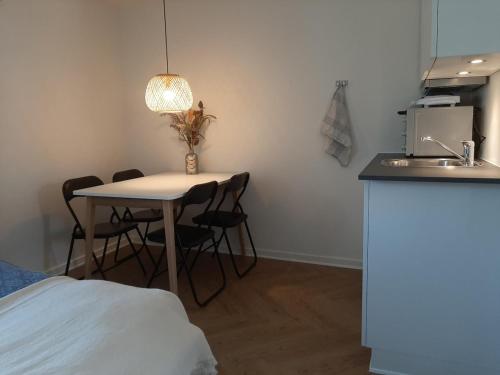 a kitchen with a table with chairs and a sink at Mini-lejlighed med køkken - Deler bad og toilet med nabolejlighed 3 in Asperup