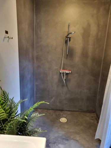 a shower in a bathroom with a concrete wall at Mini-lejlighed med køkken - Deler bad og toilet med nabolejlighed 4 in Asperup
