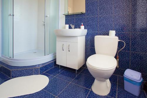 a bathroom with a toilet and a sink and a shower at Fazenda in Sumy