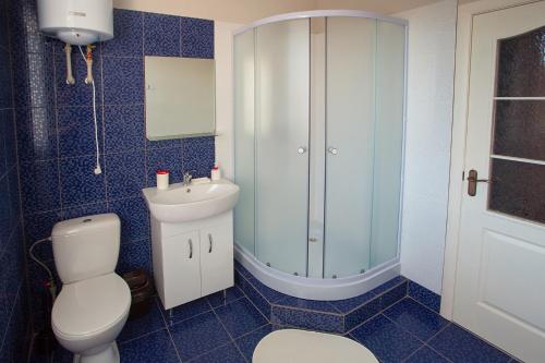 a blue tiled bathroom with a toilet and a shower at Fazenda in Sumy