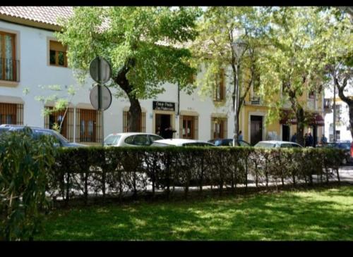 einen Zaun vor einem Gebäude mit geparkten Autos in der Unterkunft ALFONSo XII in Córdoba