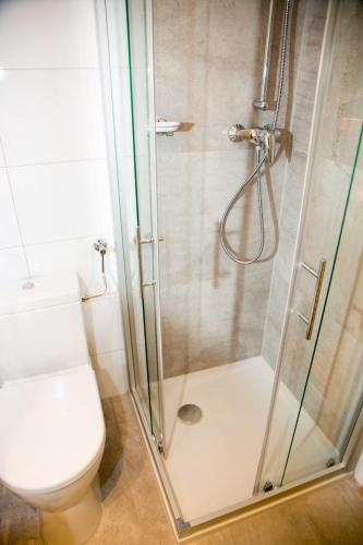 a bathroom with a shower and a toilet at Hotel Restaurant Thadeushof in Techelsberg am Worthersee