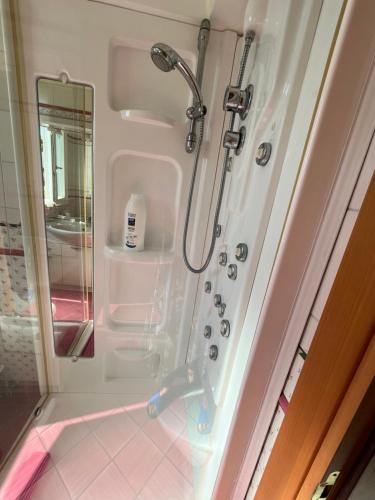 a shower in a bathroom with a mirror at Oasi Blu in Marina di Pietrasanta