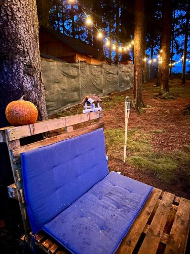 a blue bench sitting under a tree with lights at Cabana Apuseni N&D in Mărişel