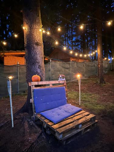 a blue chair sitting next to a tree at night at Cabana Apuseni N&D in Mărişel