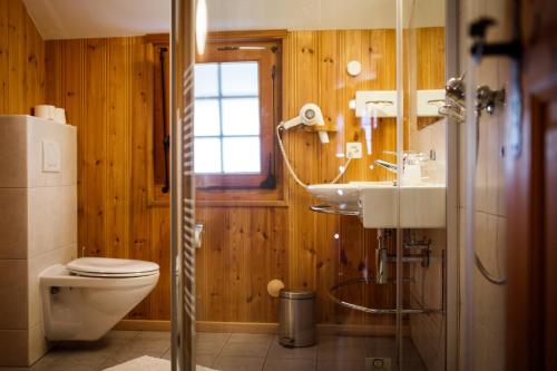 a bathroom with a toilet and a sink at Hotel Nufenen in Ulrichen