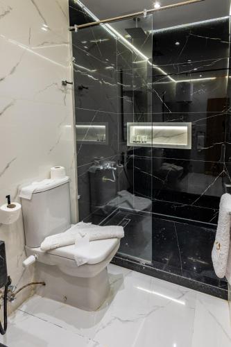 a bathroom with a toilet and a glass shower at Pyramids sunrise inn in Cairo