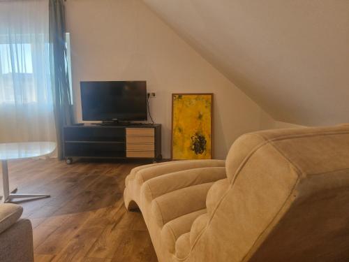 a living room with a couch and a flat screen tv at Hill Apartment Fischamend in Fischamend Markt