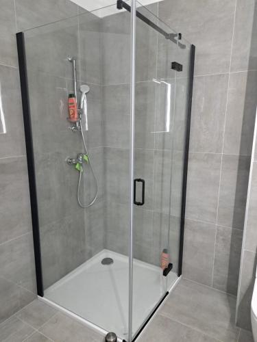 a shower with a glass door in a bathroom at Eis in Brodarica