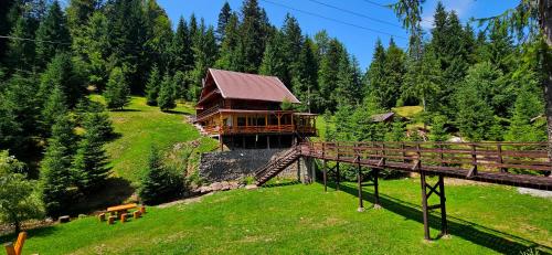 a house on a hill with a bridge and trees at Cabana Cota 1000 Arieseni in Arieşeni