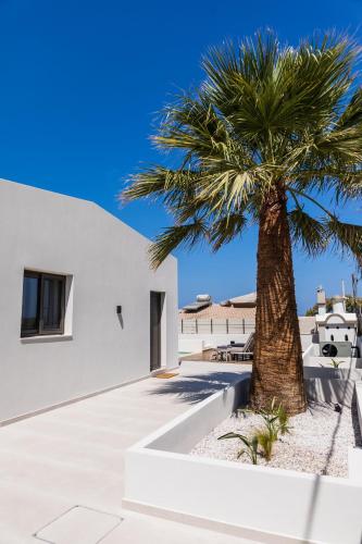 una palmera frente a una casa blanca en Infinity Palm Villa, en Stavros