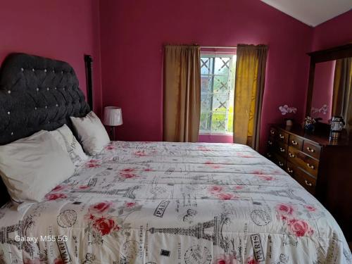 a bedroom with a large bed with pink walls at The Luxe Spot in Spanish Town