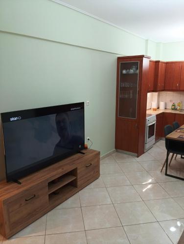 a living room with a large flat screen tv at IRIS apartment in Sparti