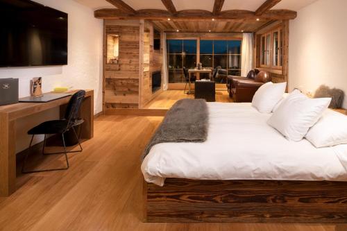 TV a/nebo společenská místnost v ubytování Hostellerie du Pas de l'Ours "Relais et Châteaux"