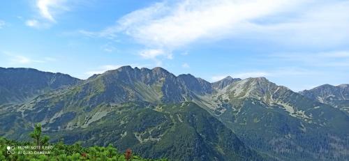 a view of a mountain range with green forests at Apartmány Grobarčík in Zuberec