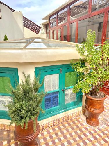 two potted plants sitting in front of a building at Riad Tasneem in Marrakech