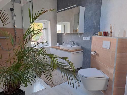 a bathroom with a toilet and a sink at DESIGN-LOFT Brockenblick in Wernigerode