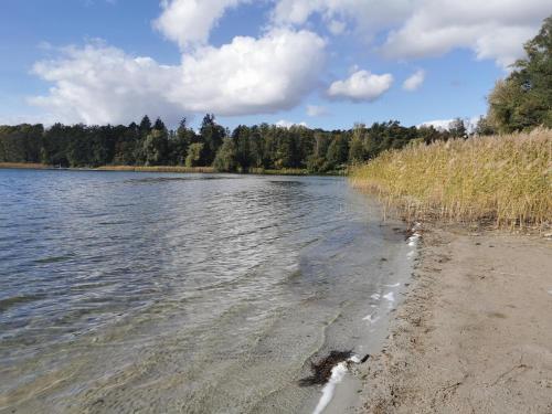 a body of water with trees in the background at Appartement für 4 Personen in Strausberg in Strausberg