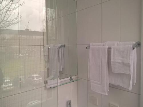 Bilik mandi di CROWN CENTRAL BUSINESS DISTRICT Motel