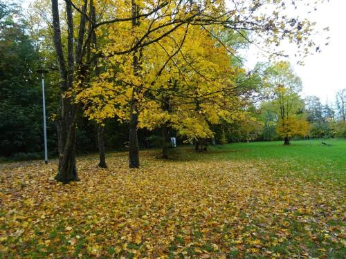 Taman di luar Appartement für 8 Personen in Strausberg