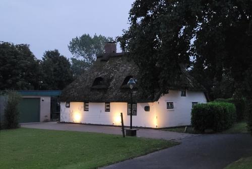 a house with a thatched roof with lights on it at Reetdachhaus Petra in Helse