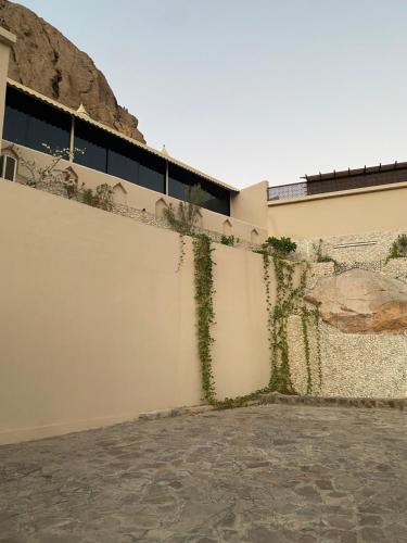 a wall with ivy growing on the side of it at Valley View Wadi Bani Khalid in Dawwah