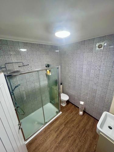 a bathroom with a glass shower and a toilet at Denzels Den Apartment 2 in Llandudno Junction