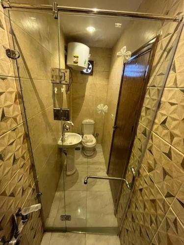 a bathroom with a shower with a sink and a toilet at Ramses Pyramids INN in Cairo