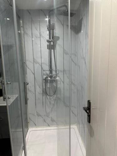 a shower with a glass door in a bathroom at A Cosy and Spacious Studio Flat in Navestock